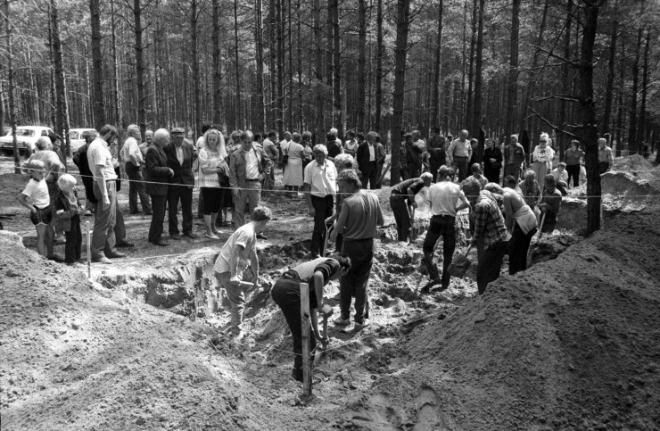 Wykopaliska archeologiczne w miejscu domniemanego grobu ofiar obławy augustowskiej na terenie Uroczyska Wielki Bór w Puszczy Augustowskiej w sierpniu 1989 r. Fot. Kazimierz Sobecki. Na zdjęciu w lesie, ok 10 mężczyzn kopie łopatami dół ogrodzony sznurkiem. Przygląda się temu tłum ludzi, w tym dzieci. 
